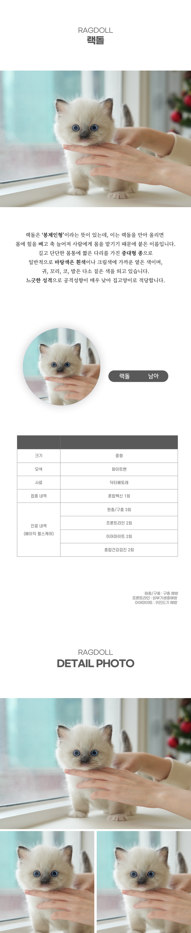 랙돌_상세이미지_2